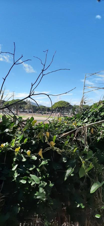 Les Iles D'Or Au Port De Hyeres Grand Studio Climatise Exterior photo