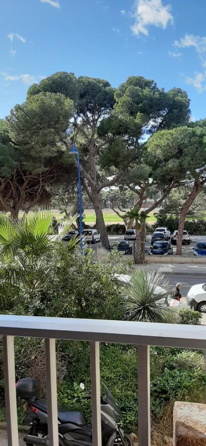 Les Iles D'Or Au Port De Hyeres Grand Studio Climatise Exterior photo